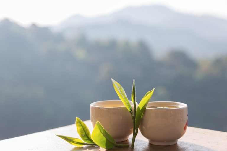 Read more about the article Caffeine in tea – essential facts