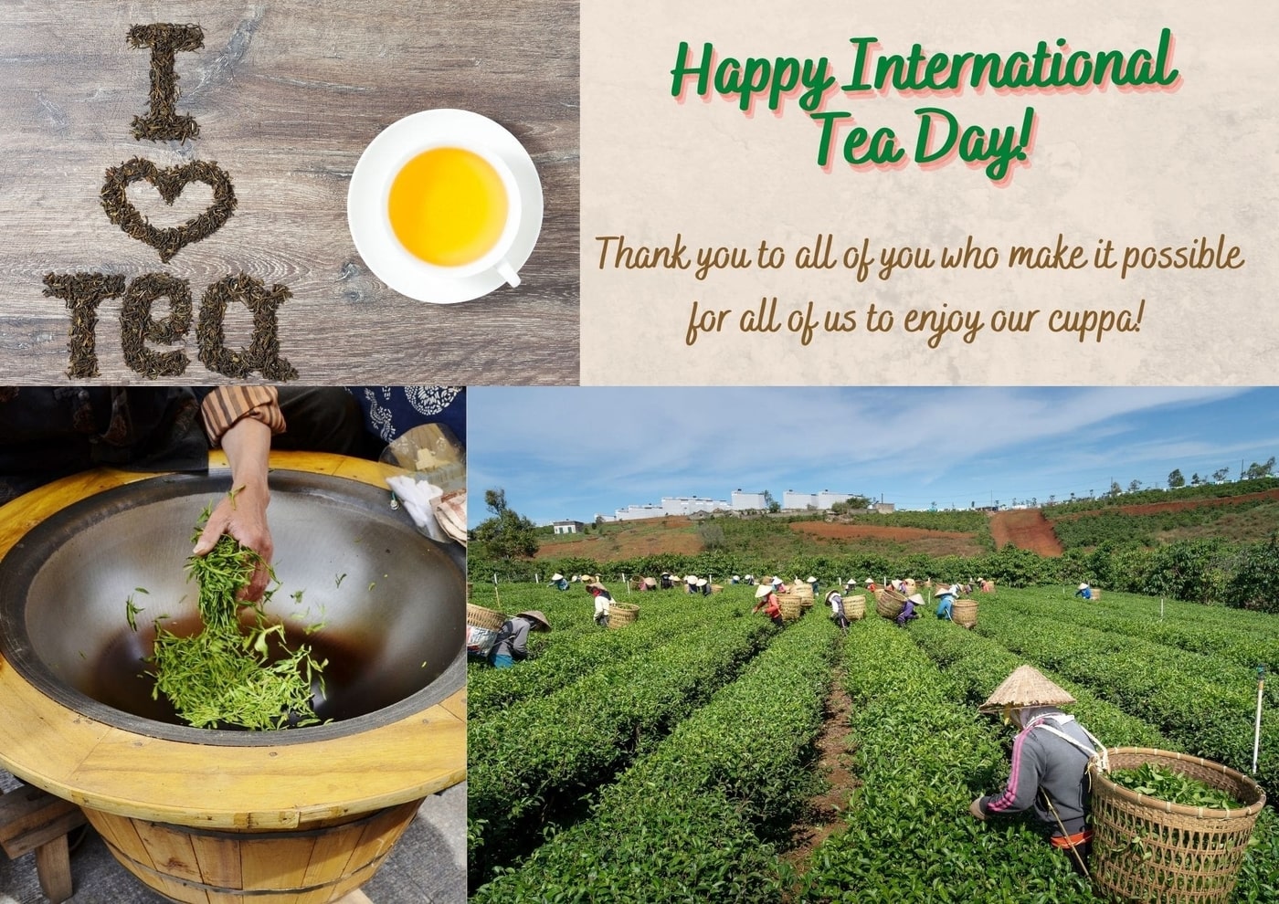International Tea Day is celebrated every 21 May