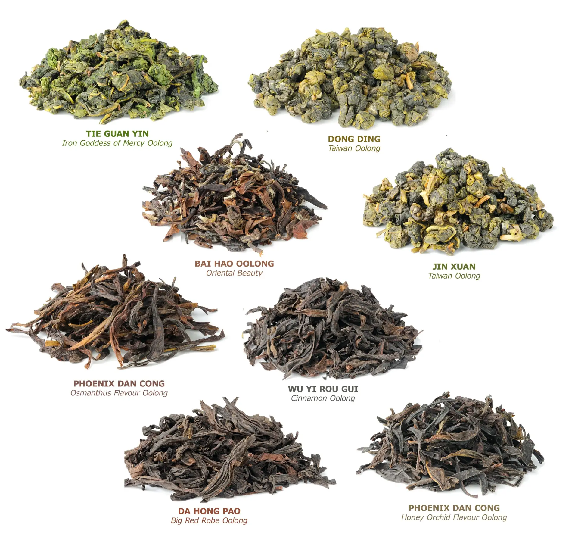 Read more about the article Chinese versus Taiwanese oolongs